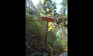tiny little homes.4